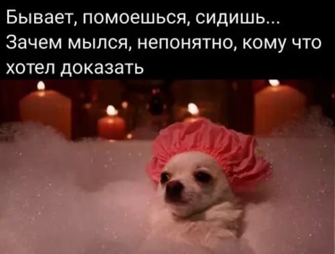 Лучший сборник юмора с мемами Лучший сборник юмора с мемами native-yes