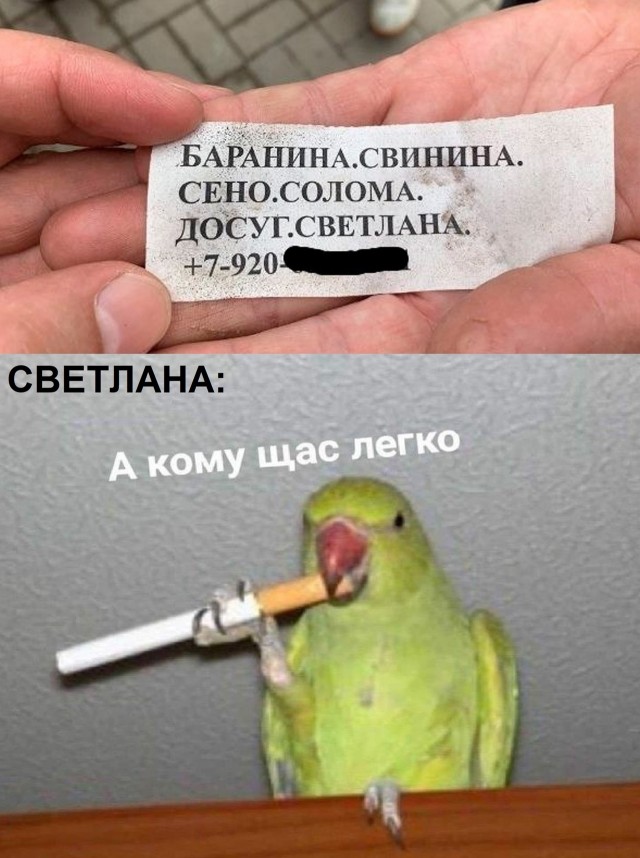 Ура, выходные! Время для смеха и отличного настроения!  native-yes