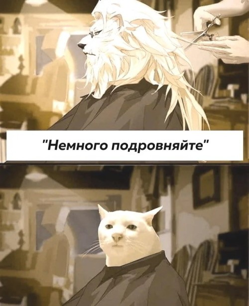 Маленькая Пятница: Большой Сборник Мемов и Приколов для Поднятия Настроения! Маленькая Пятница: Большой Сборник Мемов и Приколов для Поднятия Настроения! native-yes