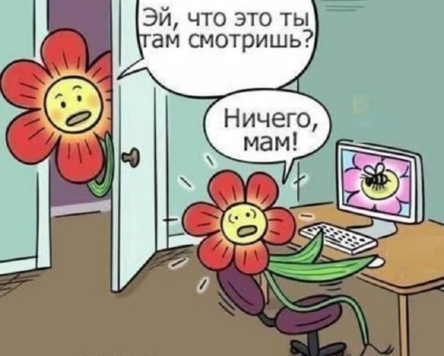 Большой сборник шуток чтобы провести выходной на позитиве native-yes