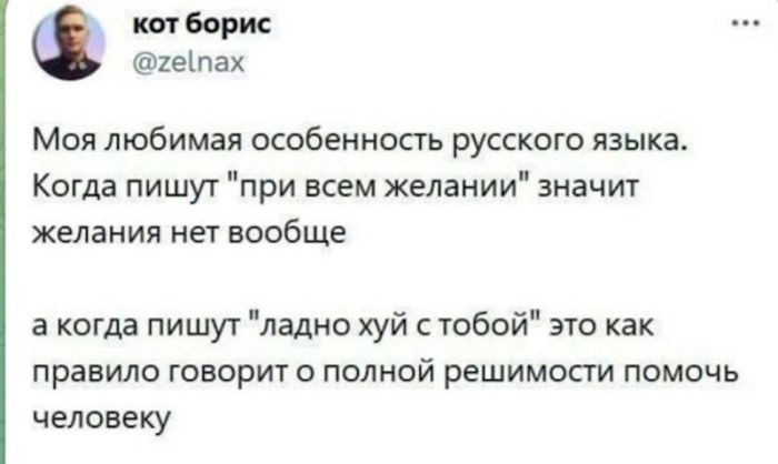 04e909dcea_novye-smeshnye-kartinki-i-kom