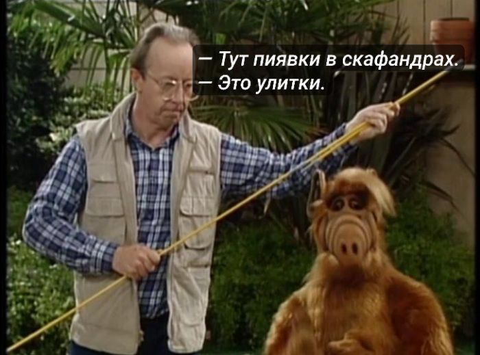 Ура, выходные! Время для смеха и отличного настроения!  native-yes