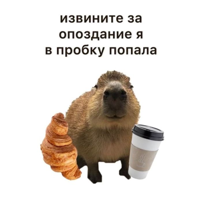 Маленькая Пятница: Большой Сборник Мемов и Приколов для Поднятия Настроения! Маленькая Пятница: Большой Сборник Мемов и Приколов для Поднятия Настроения! native-yes