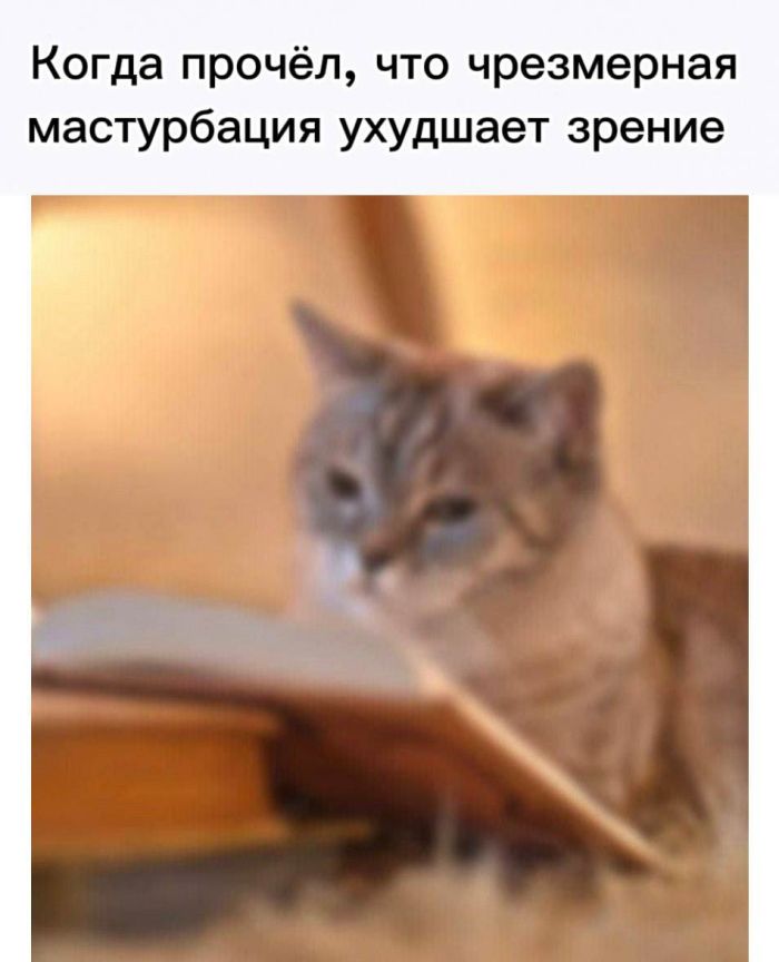 Лучший сборник юмора с мемами Лучший сборник юмора с мемами native-yes
