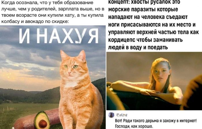 Работа не ждет, а смех продлевает жизнь! Подборка мемов для поднятия настроения