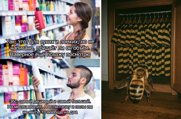 Срочно в номер! Самые смешные картинки и позитивные фото для вашего настроения