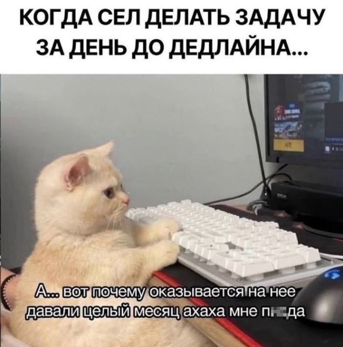 Большой сборник шуток чтобы провести выходной на позитиве native-yes