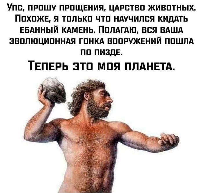 Новые мемы для поднятия настроения в пятницу native-yes