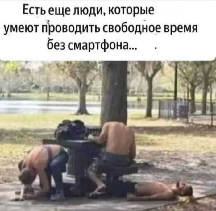 Большой сборник шуток чтобы провести выходной на позитиве native-yes