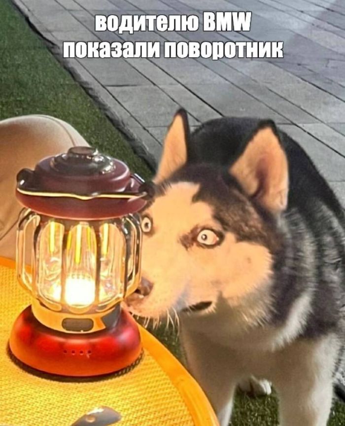 Маленькая Пятница: Большой Сборник Мемов и Приколов для Поднятия Настроения! Маленькая Пятница: Большой Сборник Мемов и Приколов для Поднятия Настроения! native-yes