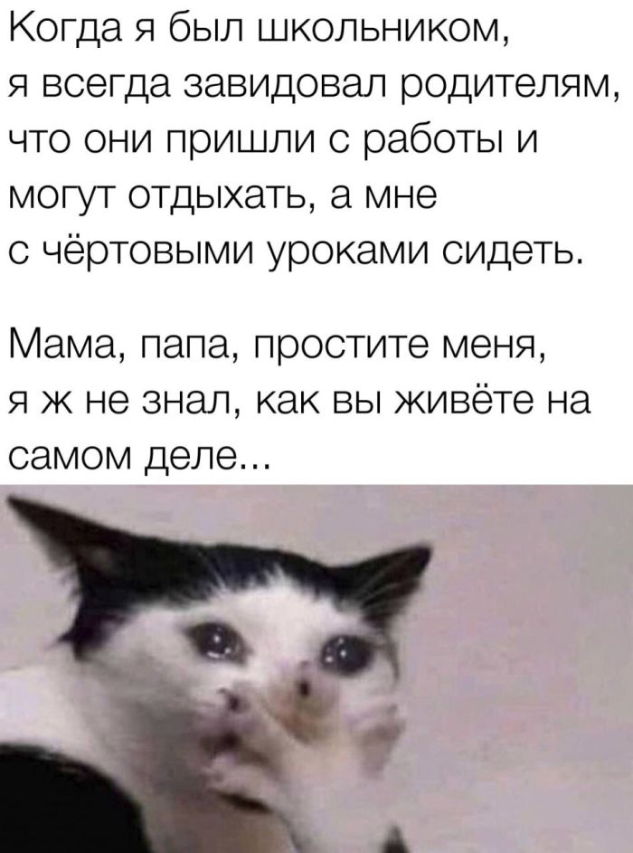 Маленькая Пятница: Большой Сборник Мемов и Приколов для Поднятия Настроения! Маленькая Пятница: Большой Сборник Мемов и Приколов для Поднятия Настроения! native-yes