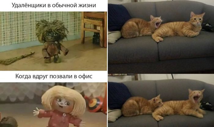 Готовьтесь к дозе безудержного смеха!