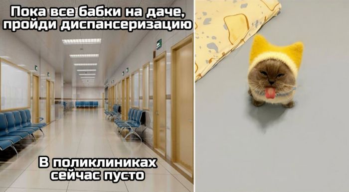 Пятница, ты ли это? Заряжаемся позитивом перед выходными!