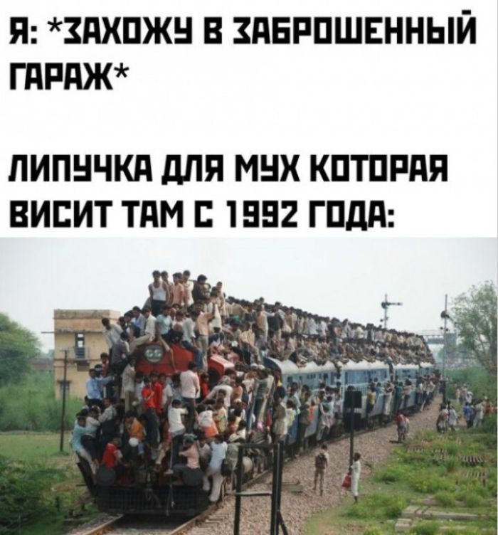 Много новых шуток в мемах на понедельник Много новых шуток в мемах на понедельник native-yes