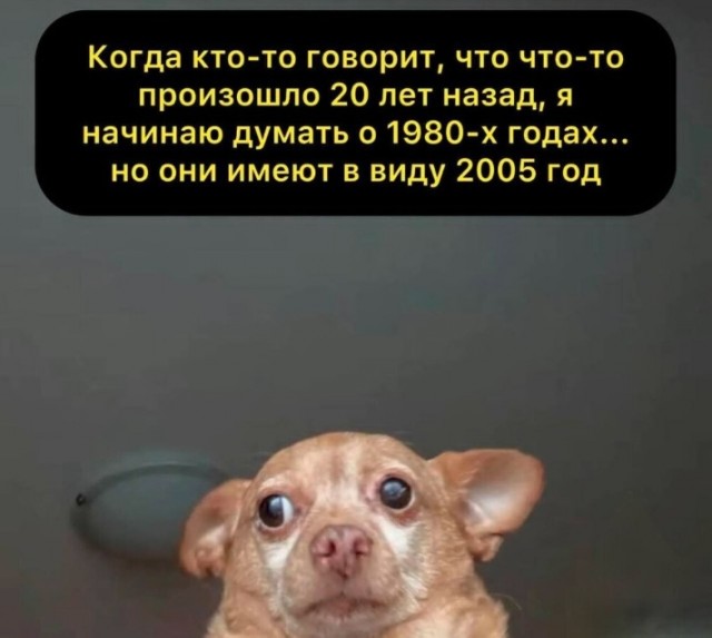 Когда хочется просто расслабиться и посмеяться... native-yes