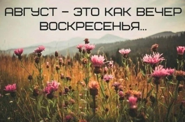 Когда хочется просто расслабиться и посмеяться... native-yes