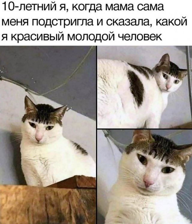 Когда хочется просто расслабиться и посмеяться... native-yes