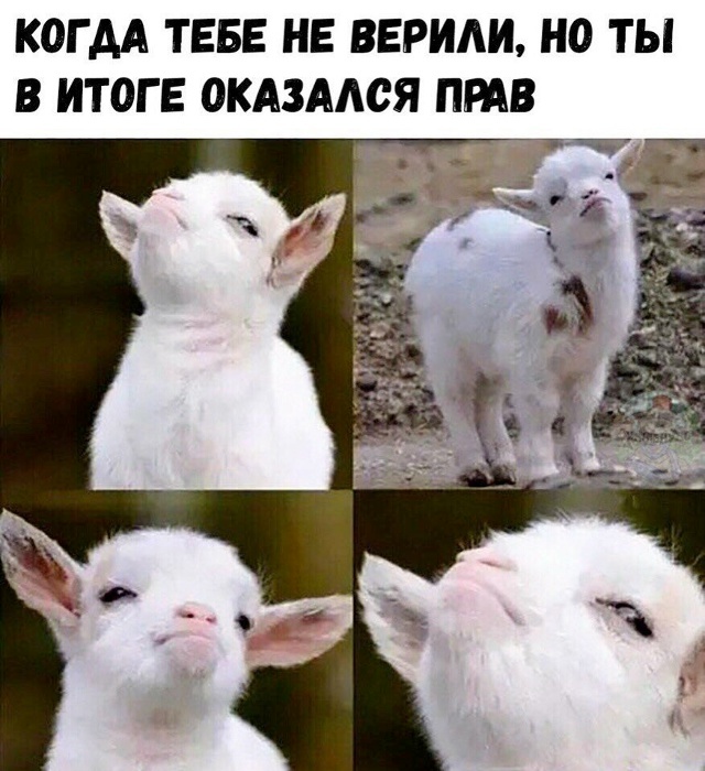 Когда хочется просто расслабиться и посмеяться... native-yes