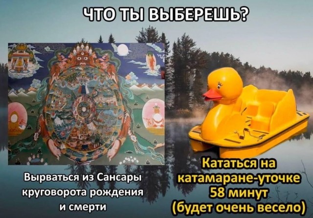 Когда хочется просто расслабиться и посмеяться... native-yes