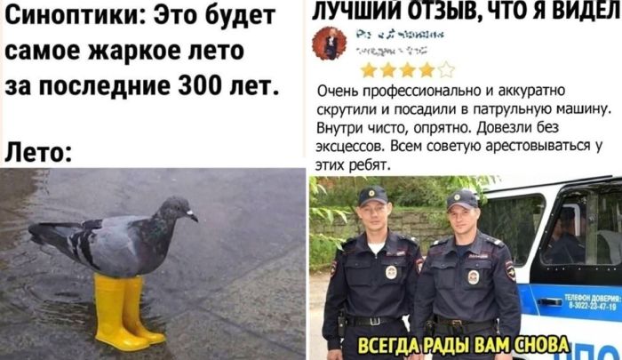 🌟 Свежий юмор из социальных сетей! 🌟