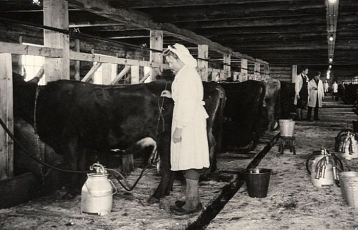 Было ли советское молоко таким «настоящим» native-yes