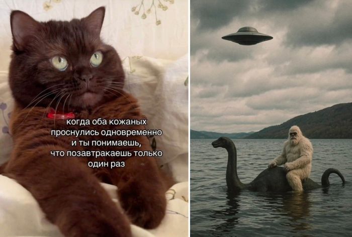 Большой сборник юмора в мемах и прикольных фотографиях в пятницу!