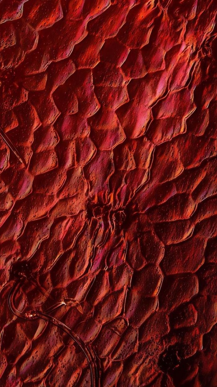 Что видит муравей сидя на клубнике Что видит муравей сидя на клубнике native-yes