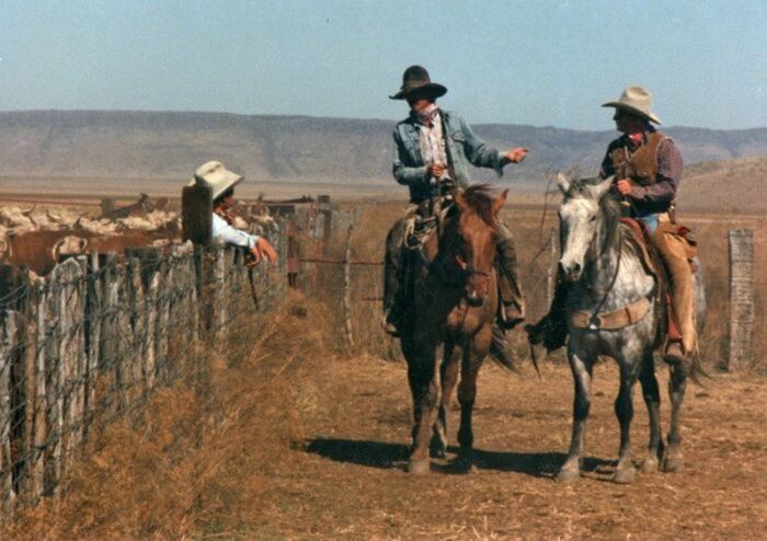 Развенчанные заблуждения о ковбоях, которые навязала массовая культура native-yes