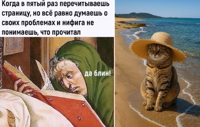 Среда – это маленькая пятница, а мы добавим ей юмора! 😂