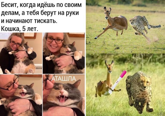 Встречайте пятницу с улыбкой!