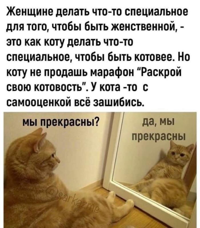 Когда хочется просто расслабиться и посмеяться... native-yes