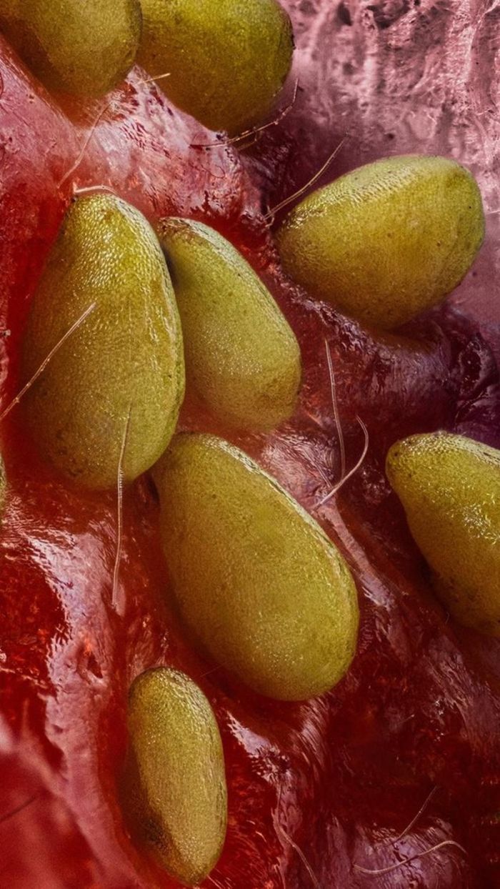 Что видит муравей сидя на клубнике Что видит муравей сидя на клубнике native-yes