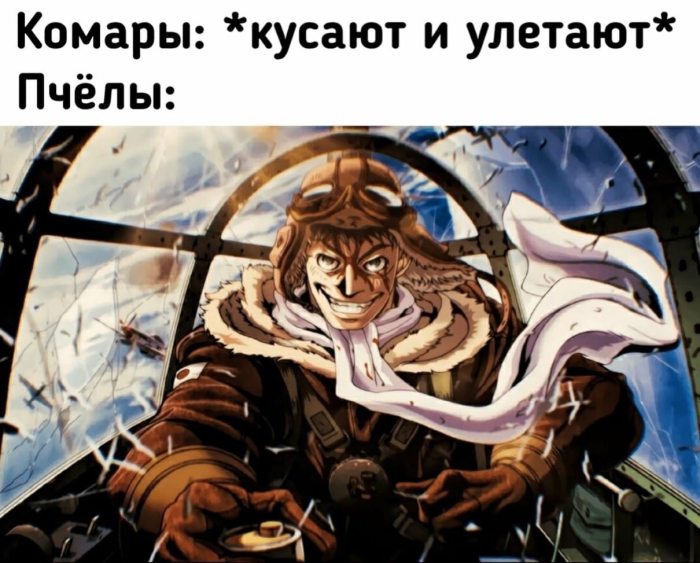 Когда хочется просто расслабиться и посмеяться... native-yes