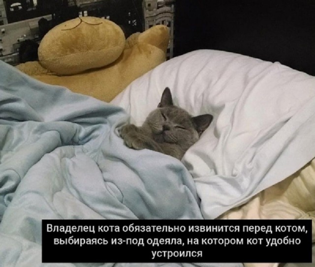 Ура, выходные! Время для смеха и отличного настроения! Ура, выходные! Время для смеха и отличного настроения! native-yes