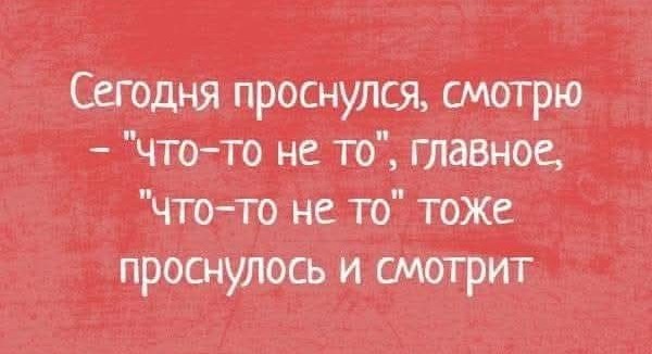 73b3c263fb_luchshie-memy-i-smeshnye-komm