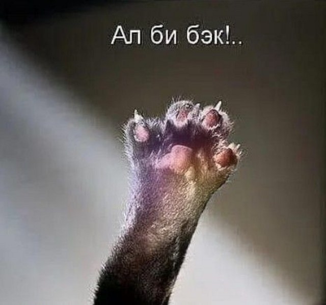 Ура, выходные! Время для смеха и отличного настроения! Ура, выходные! Время для смеха и отличного настроения! native-yes