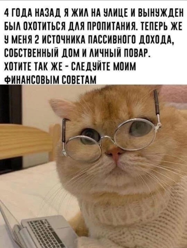 Ура, выходные! Время для смеха и отличного настроения! Ура, выходные! Время для смеха и отличного настроения! native-yes