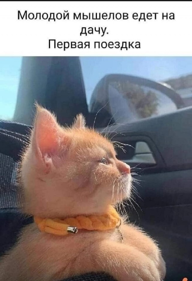 Ура, выходные! Время для смеха и отличного настроения! Ура, выходные! Время для смеха и отличного настроения! native-yes