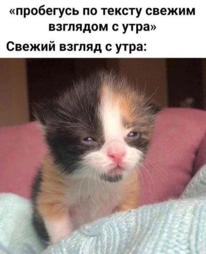 Большой сборник юмора на маленькую среду: мемы и позитивные фотографии! Большой сборник юмора на маленькую среду: мемы и позитивные фотографии! native-yes