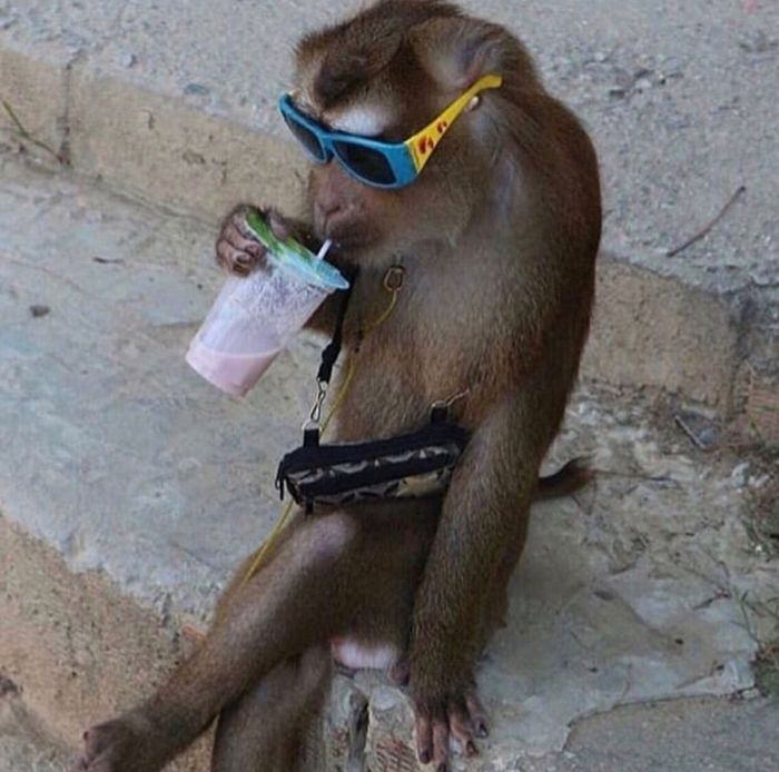 Пятница, друзья! Время для взрывной дозы позитива! Пятница, друзья! Время для взрывной дозы позитива! native-yes