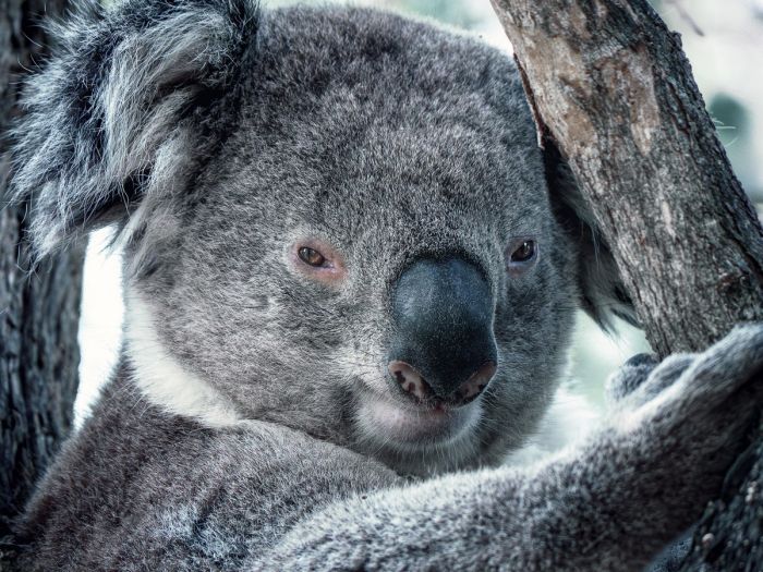 Пятница, друзья! Время для взрывной дозы позитива! Пятница, друзья! Время для взрывной дозы позитива! native-yes