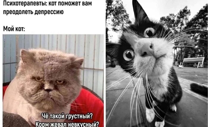 Маленькая пятница – время для смеха и позитива! 🎉