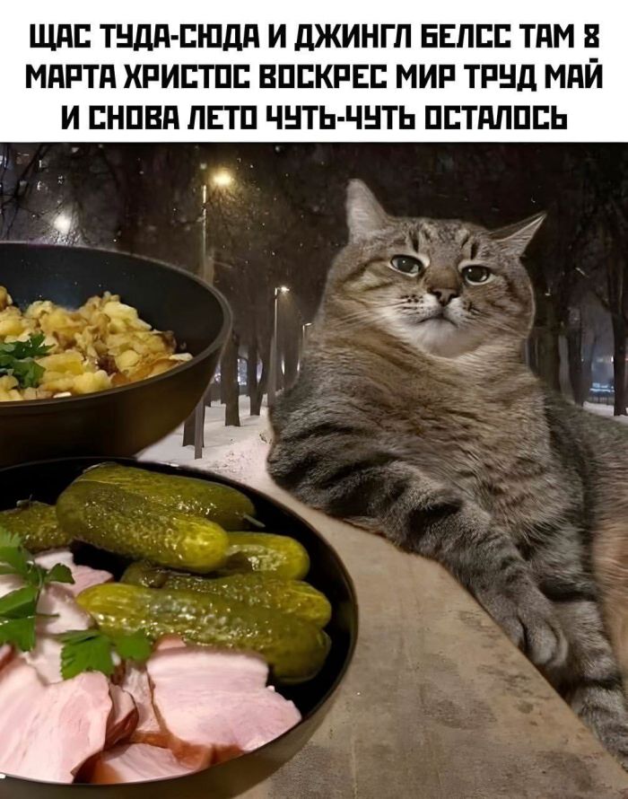 Пятница, друзья! Время для взрывной дозы позитива! 