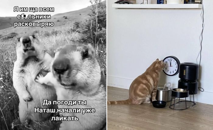 Пятница, ты ли это? 🎉 Зарядись позитивом по полной!