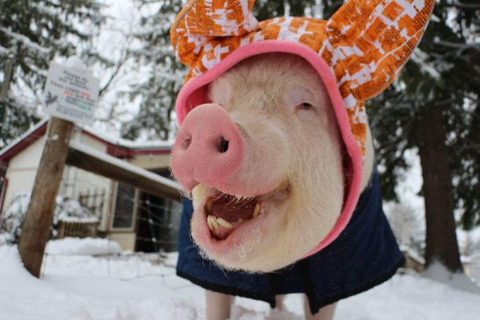 Пятница, друзья! Время для взрывной дозы позитива! Пятница, друзья! Время для взрывной дозы позитива! native-yes