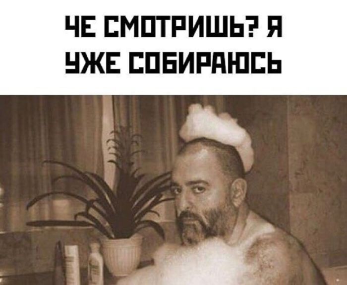 395afb4efb_luchshie-memy-v-bolshoj-podbo