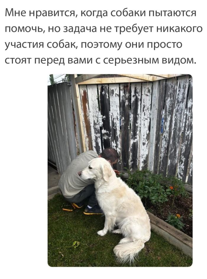 Пятница, друзья! Время для взрывной дозы позитива! Пятница, друзья! Время для взрывной дозы позитива! native-yes