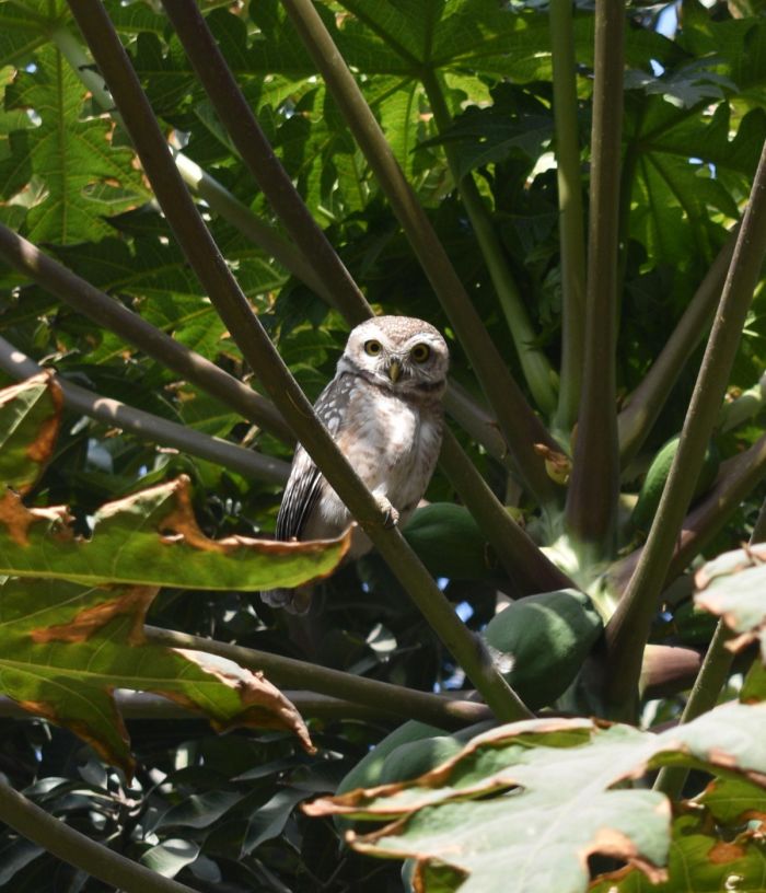 Пятница, друзья! Время для взрывной дозы позитива! Пятница, друзья! Время для взрывной дозы позитива! native-yes