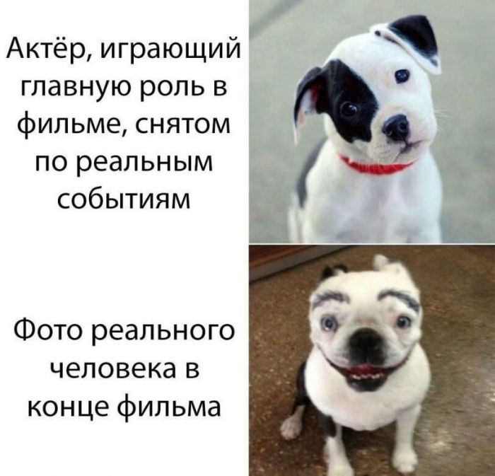 Большой сборник юмора на маленькую среду: мемы и позитивные фотографии! Большой сборник юмора на маленькую среду: мемы и позитивные фотографии! native-yes