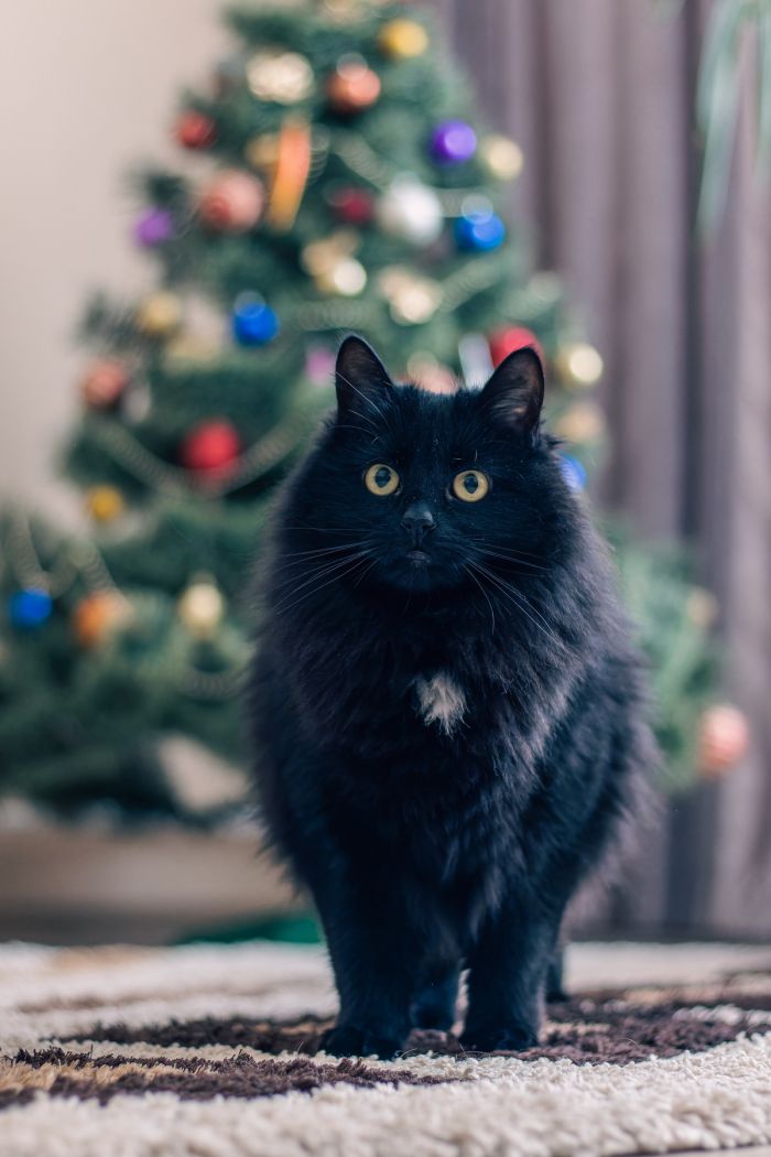 Большой сборник юмора на маленькую среду: мемы и позитивные фотографии! Большой сборник юмора на маленькую среду: мемы и позитивные фотографии! native-yes